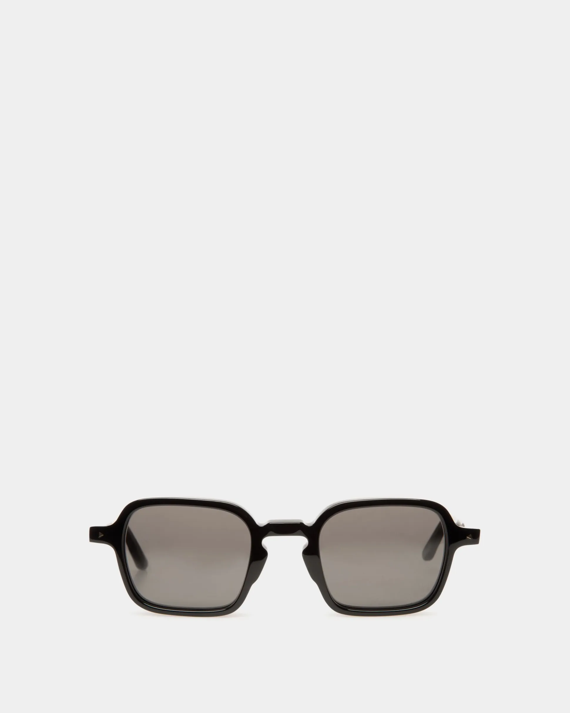 Werner Sunglasses In Black Acetate