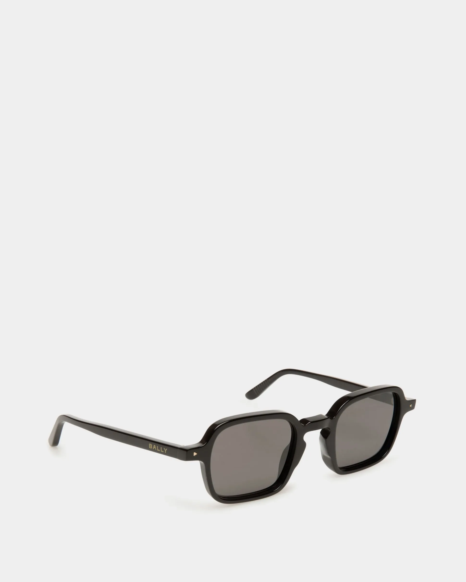 Werner Sunglasses In Black Acetate